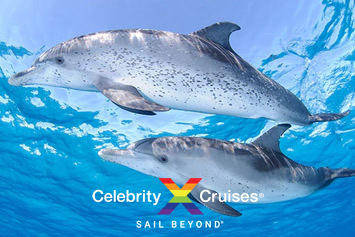 Celebrity Bahamas gay cruise
