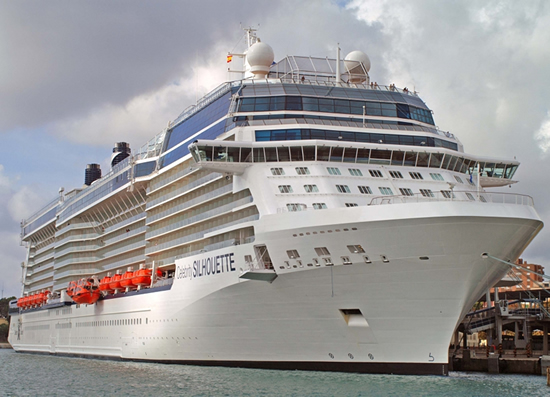 Celebrity Silhouette