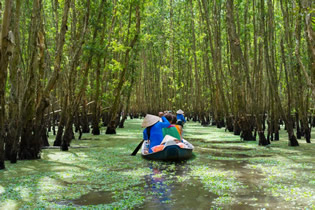 Rowing Boat In Mekong Delta