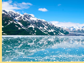 Alaska Bears Cruise - Glacier Bay