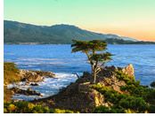 Pacific Coastal Gay cruise - Monterey, California
