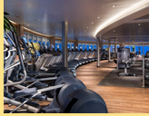 Koningsdam Fitness Center