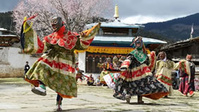 Bhutan dancing