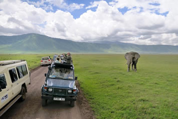 Ngorongoro Crater gay safari