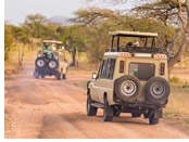 Kruger National Park game drive