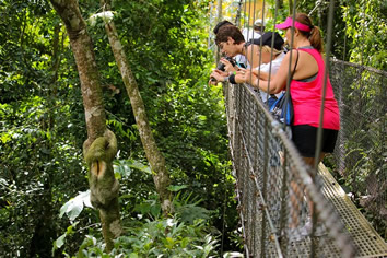 Costa Rica lesbian tour - Mistico Hanging Bridges
