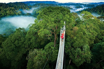 Costa Rica lesbian tour - Monteverde Cloud Forest