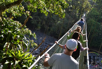 Gay Costa Rica asventure - canopy tour