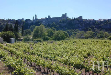 Provence, Gay France biking tour - vineyard