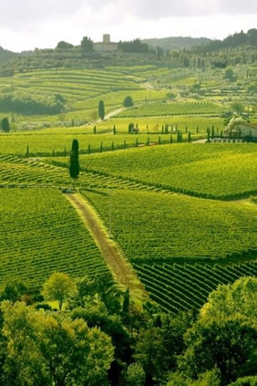 Chianti Italy gay hiking tour