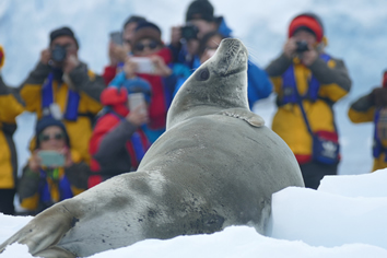 Gay Antarctica cruise