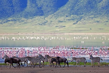 Tanzania Gay Safari - Ngorongoro
