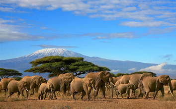 Tanzania Gay Tour
