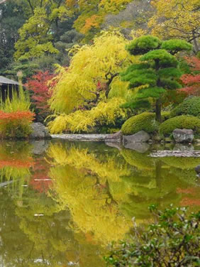file share gay gay kyoto