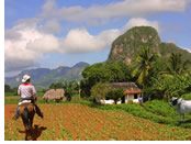 Vinales, Cuba gay tour - Arenal Volcano