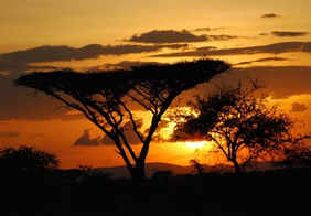 Gay Tanzania tour