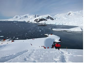 Antarctica shore excursion