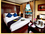 Paradise Luxury Cruise Cabin