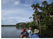 Amazon Rainforest gay tour - Lake Sandoval