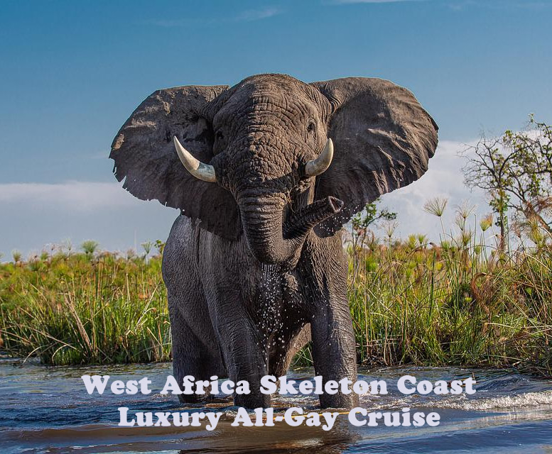 West Africa Skeleton Coast Luxury All-Gay Cruise 2026