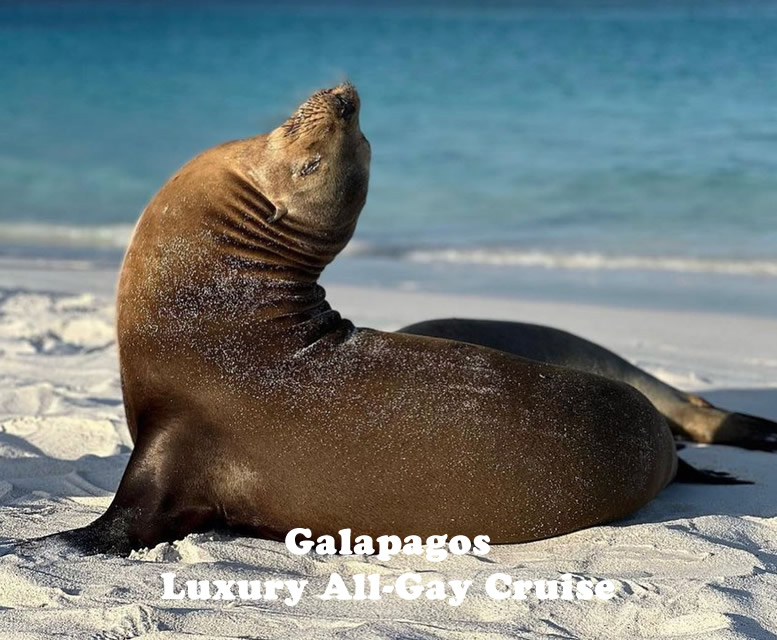 Galapagos Luxury All-Gay Cruise 2026