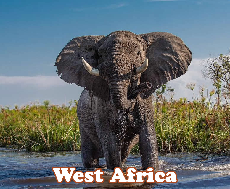 West Africa Skeleton Coast Luxury All-Gay Cruise 2026