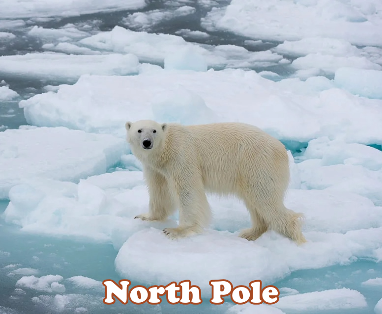 North Pole Expedition Luxury All-Gay Cruise