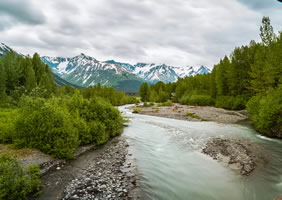 Alaska Anchorage gay bears cruise