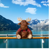 Alaska gay bears cruise