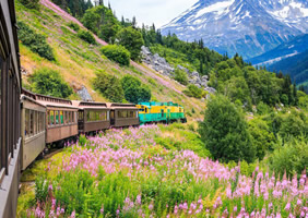 Alaska gay bears cruise - Skagway