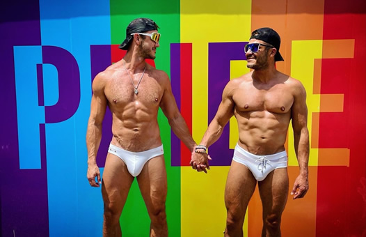 Vienna Gay Pride cruise