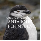 Antarctic Gay Cruise 2023