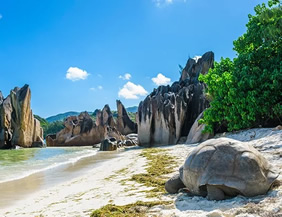 Aldabra, Seychelles gay cruise