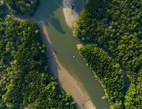 Rio Cajari gay cruise