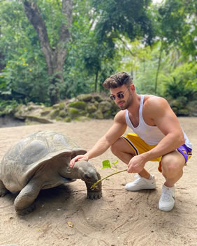 Seychelles gay cruise tortoise