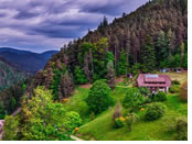 Rhine Gay River Cruise - Black Forest