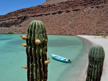 Sea of Cortez gay sailing