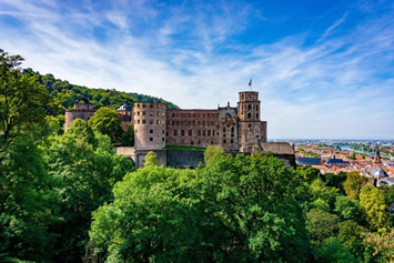 Heidelberg Rhine gay cruise