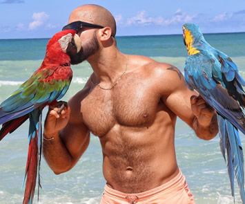 Caribbean gay bears cruise