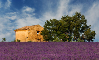 Exclusively gay Burgundy and Provence Cruise