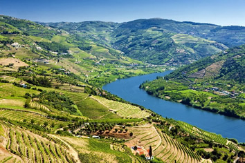 Douro Valley Portugal gay cruise