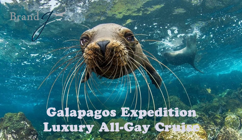 Galapagos Expedition Luxury All-Gay Cruise 2025