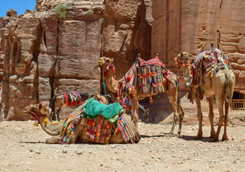 Petra gay travel