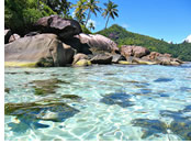 Seychelles gay cruise - Moyenne Island