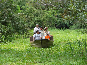 Exclusively Gay Amazon River Expedition