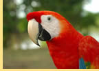 Exclusively gay Amazon River Expedition Cruise