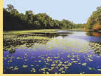 Exclusively gay Amazon River Expedition Cruise