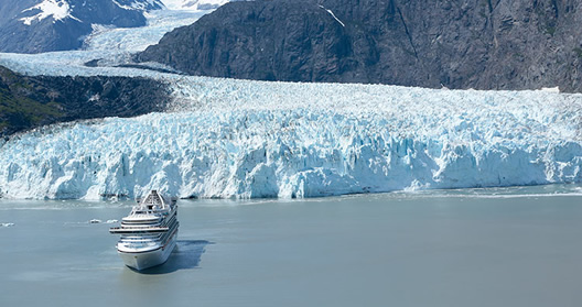 Adventure Bears Alaska Gay Cruise