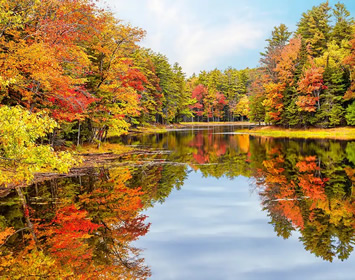 Canada fall foliage gay cruise