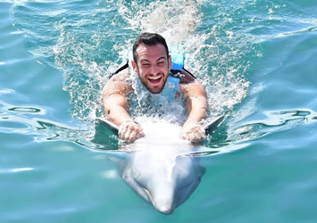 Gay Caribbean cruise